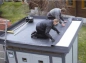 Preview: EPDM Dachfolien Set inkl. Kleber 6,10 x 4,00 m - Set 93