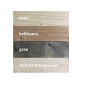 Preview: Gartenhaus Lotta 10,0 m²